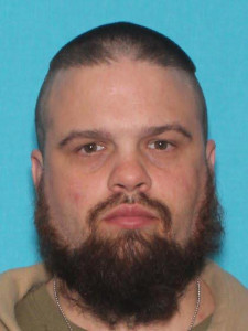 Dennis Michael Roblyer a registered Sex Offender of Michigan