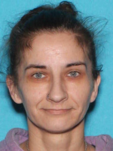 Paige Nicole Vancamp a registered  of Michigan