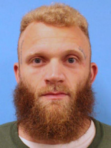 David Richard Grayson a registered Sex Offender of Michigan