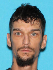 Kenneth Arthur Lown a registered Sex Offender of Michigan