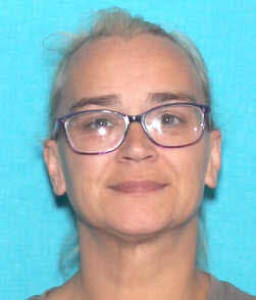 Vicky Ann Hesling a registered Sex Offender of Michigan