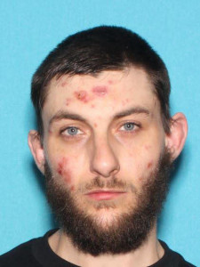Jacob Charles-mitchell Mieczkowski a registered Sex Offender of Michigan