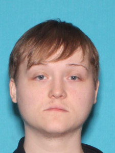 Ethan Earl Flores a registered Sex Offender of Michigan
