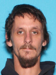 Dylon James Mcginley a registered Sex Offender of Michigan