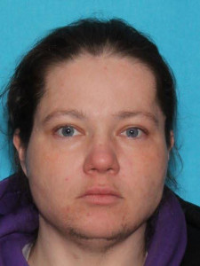 Rebecca Ann Betham a registered Sex Offender of Michigan