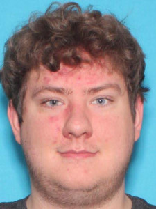 Zachary Louis Delgado a registered Sex Offender of Michigan