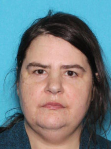 Sarah Elizabeth Place a registered Sex Offender of Michigan