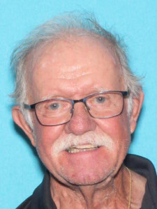William A Hammes a registered Sex Offender of Michigan