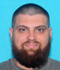 Timothy Lyman Irvine a registered Sex Offender of Michigan