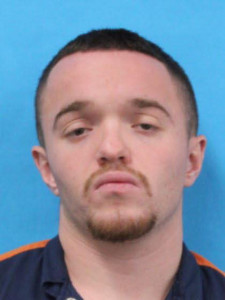 Ethan Daniel Ellesin a registered Sex Offender of Michigan