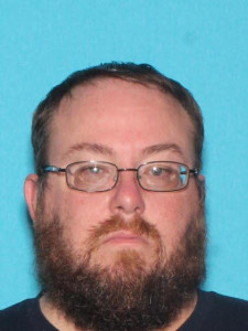 Steven Lawrence Young a registered Sex Offender of Michigan