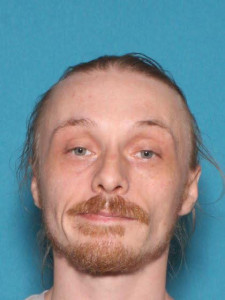 Alan Michael-david Johnson a registered Sex Offender of Michigan