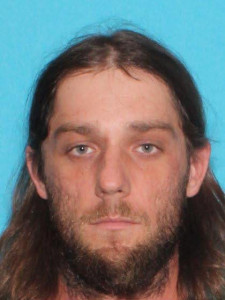 Logan Christopher-michael Pierce a registered Sex Offender of Michigan