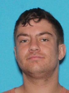 Andrew Wilson Simmons a registered Sex Offender of Michigan