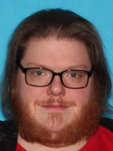Ryan Jeffery Harland a registered Sex Offender of Michigan