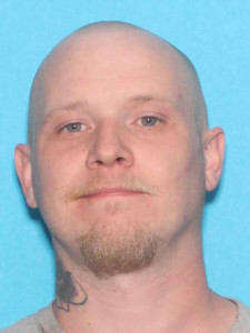 Ryan Mitchell Zeestraten a registered Sex Offender of Michigan