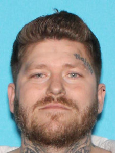 Robert Carey Johnson a registered Sex Offender of Michigan