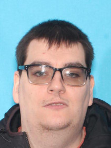 Bruce Albert Hipkins a registered Sex Offender of Michigan