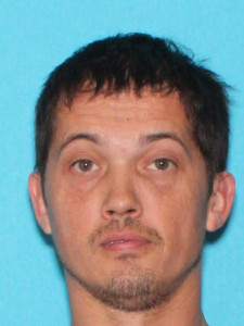 Mark David Wilson a registered Sex Offender of Michigan