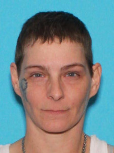 Tina Loraine Johnston a registered Sex Offender of Michigan
