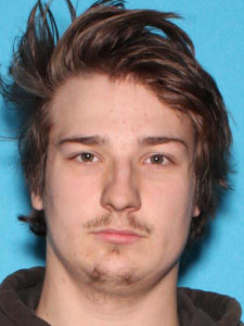 Ethan Jacob Wodarek a registered Sex Offender of Michigan