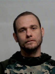 Bradley Michael-john Hickman a registered Sex Offender of Michigan