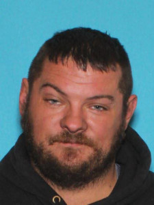 Robert Lee Leins a registered Sex Offender of Michigan