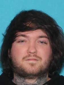 Andrew James Fleser a registered Sex Offender of Michigan