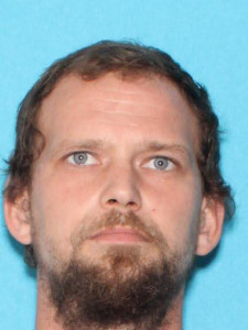 Austin Michael Blays a registered Sex Offender of Michigan