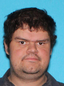 Bryan Allen Ingles a registered Sex Offender of Michigan