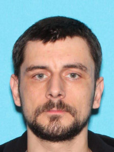 Todd Michael Tingley-ryall a registered Sex Offender of Michigan