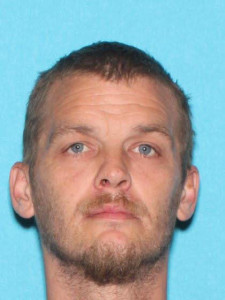 Dennis Christopher Mulkey a registered Sex Offender of Michigan