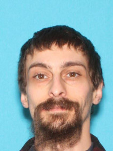 Dylan Earl Peters a registered Sex Offender of Michigan