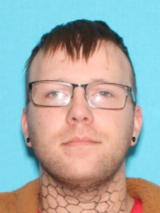 Dylan Matthew Singer a registered Sex Offender of Michigan