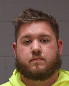 Nicholas Coe Young a registered Sex Offender of Michigan
