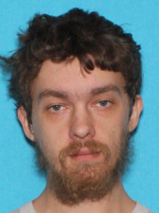 Jordan Lucas Hutchinson a registered Sex Offender of Michigan