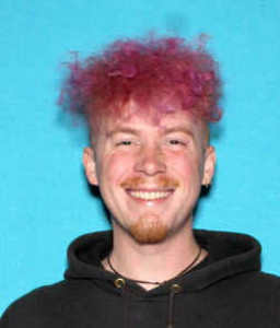 Tyler Isaac Forguson a registered Sex Offender of Michigan
