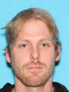 Anthony David Lesnau a registered Sex Offender of Michigan