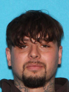 Ryan David Dominish a registered Sex Offender of Michigan