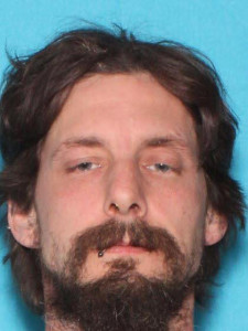 Brandan Robert Simon a registered Sex Offender of Michigan
