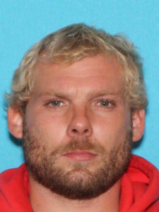 Tyler Michael Holman a registered Sex Offender of Michigan