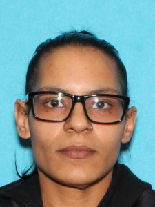 Dulce Mercedez Acosta a registered Sex Offender of Michigan