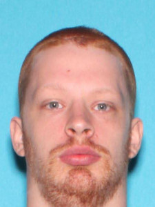 William Clarence Nedrow a registered Sex Offender of Michigan