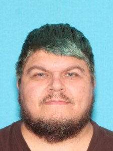 Brent Mark Calkins a registered Sex Offender of Michigan