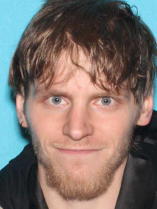 Levi Anthony Stamper a registered Sex Offender of Michigan