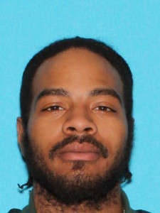 Lewis Dimaggio Hood a registered Sex Offender of Michigan