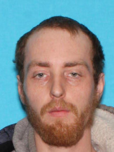 Trenton Joe Wiggins a registered Sex Offender of Michigan