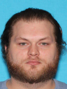 Daniel Dale Davidson a registered Sex Offender of Michigan