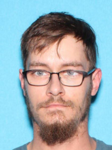 Stephen J Baird a registered Sex Offender of Michigan