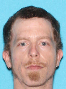 Hendrick Devries a registered Sex Offender of Michigan